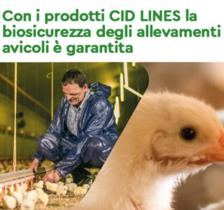Agrivet | prodotti CID LINES per la biosicurezza degli allevamenti avicoli