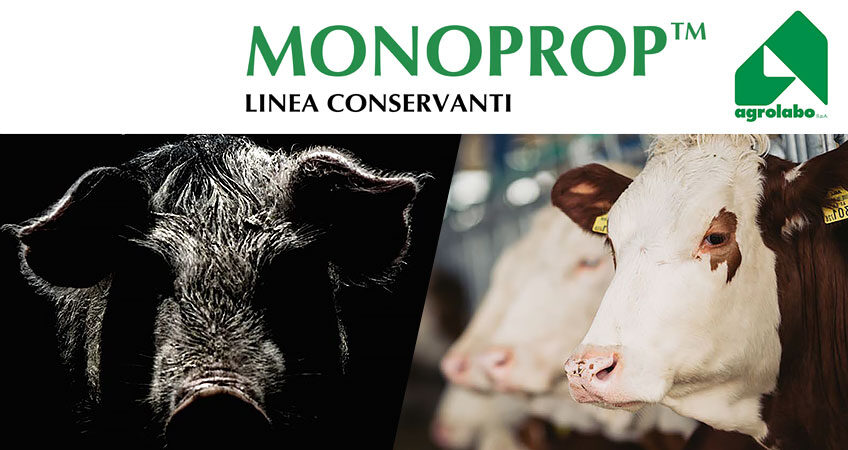 Agrivet - Monoprop linea conservanti per mangimi silosati per bovini suini